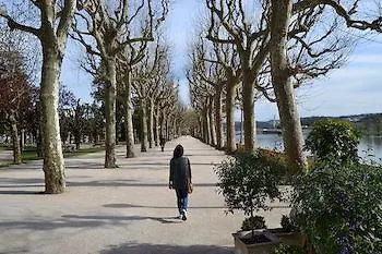 旅馆 Portagem 科英布拉